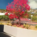 Holiday home Alforra 1-t2-centro-praias-levadas
