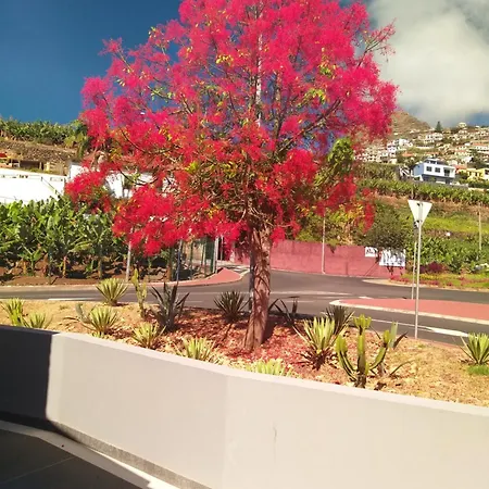 Holiday home Alforra 1-t2-centro-praias-levadas