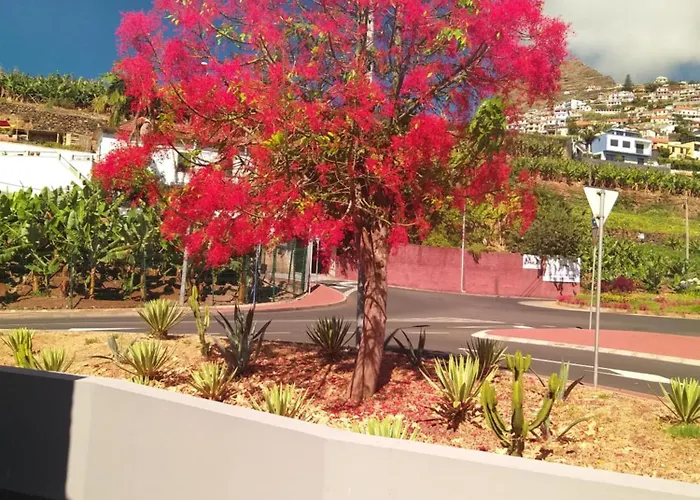 Hébergement de vacances Alforra 1-t2-centro-praias-levadas